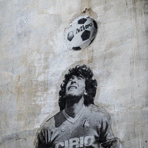 fty market 500x500.png