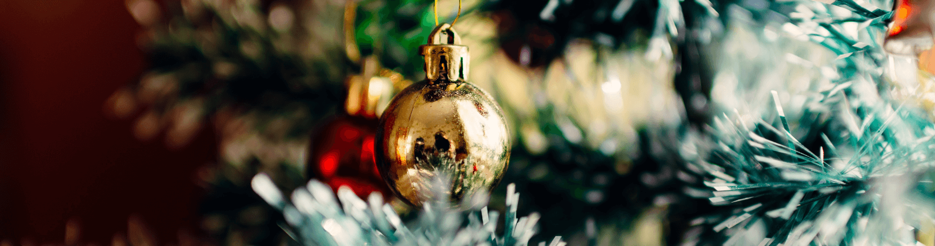 FTY xmas 1900x500 (1).png