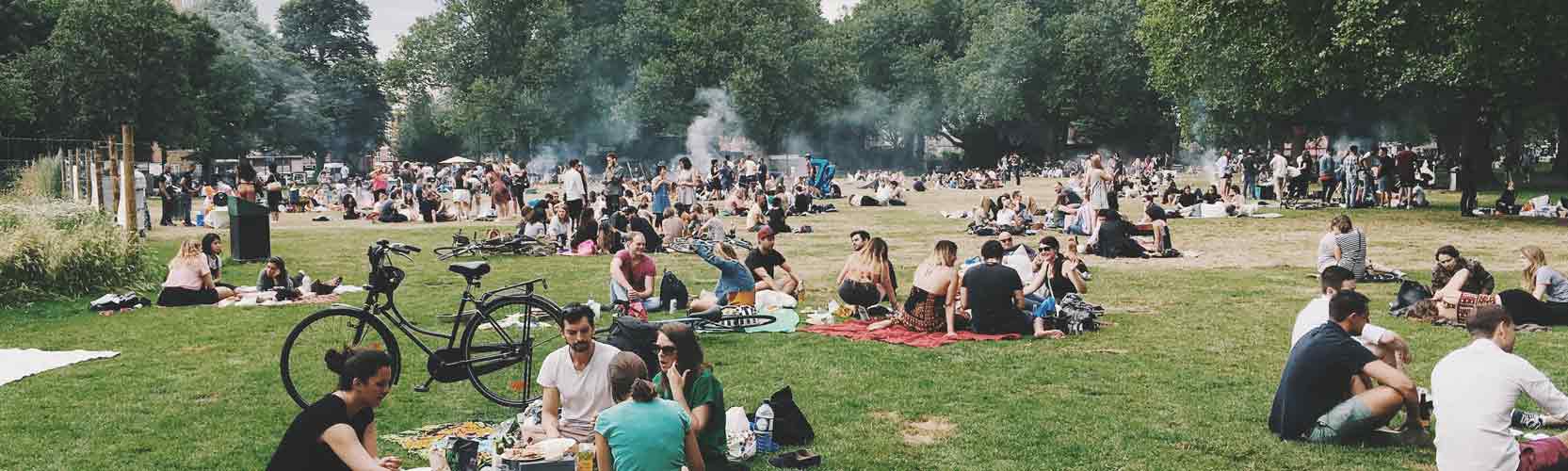 picnic1665x500.jpg