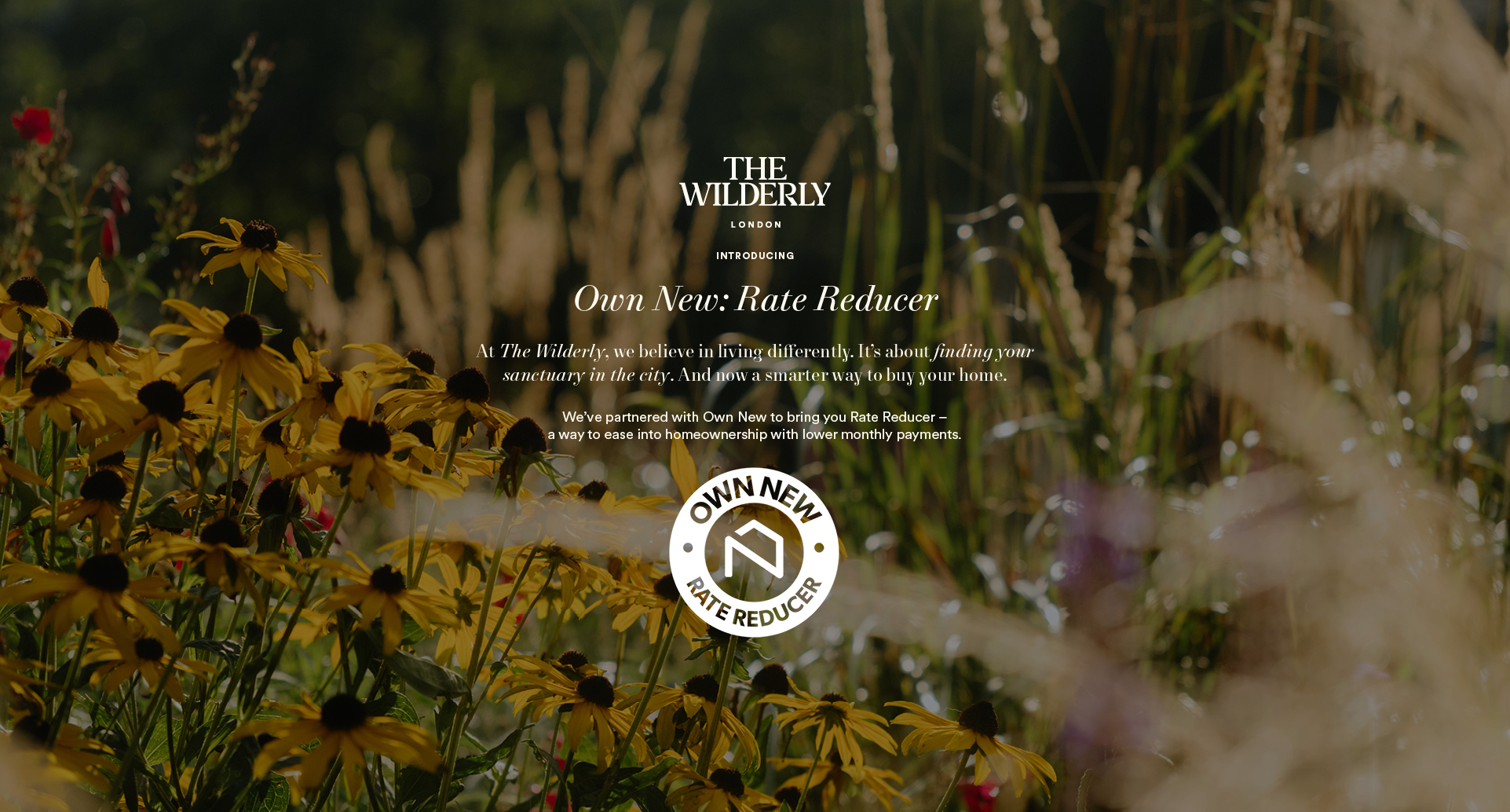 The Wilderly Own New Web Page Header Text as original design (100%).jpg