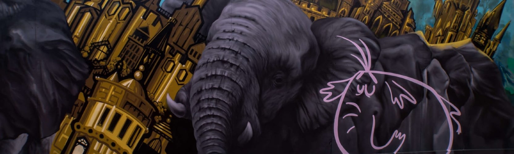 lmf_banner.jpg