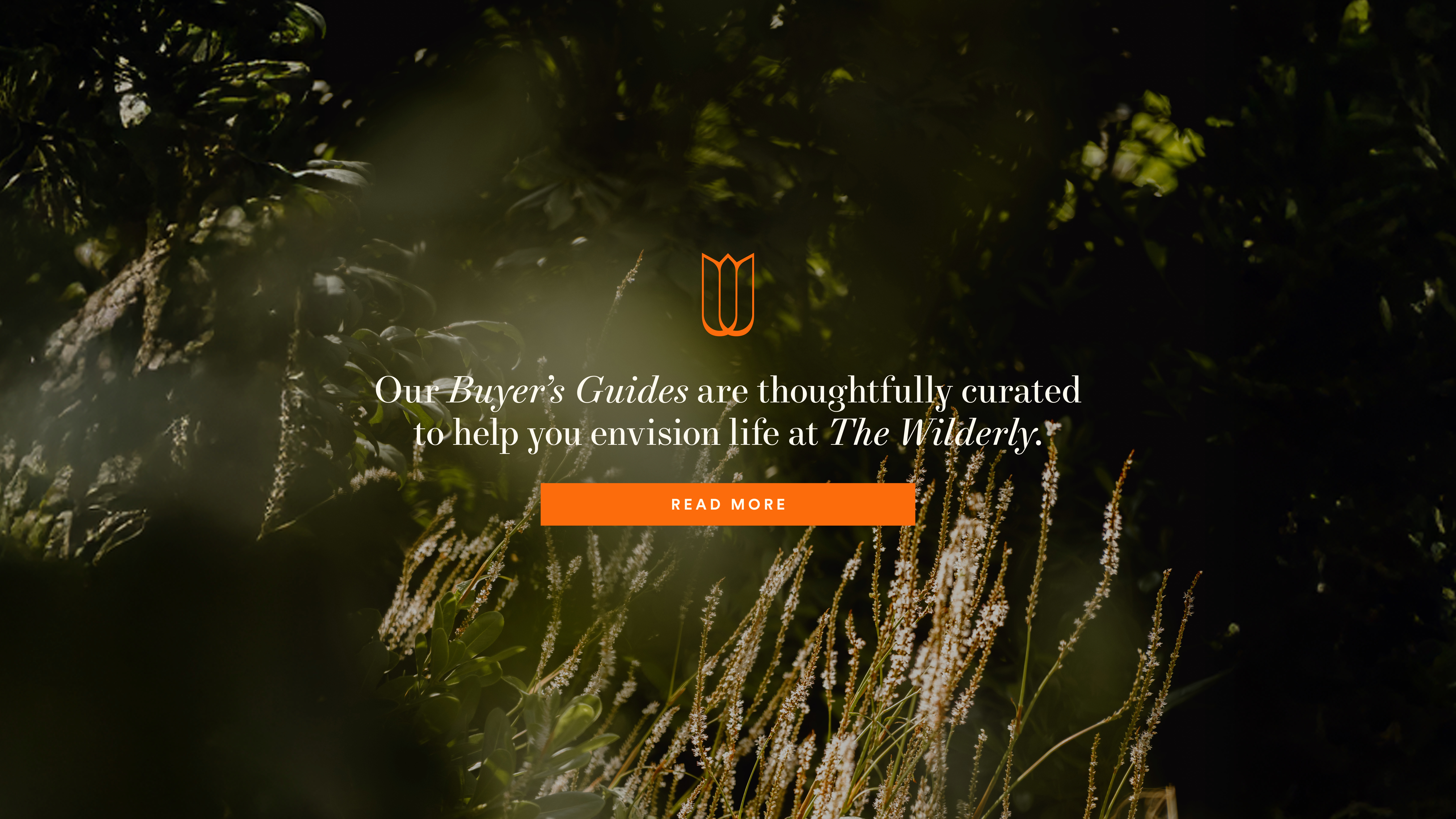 The Wilderly Buyer's Guide Web Banner_Desktop_2 (1).jpg