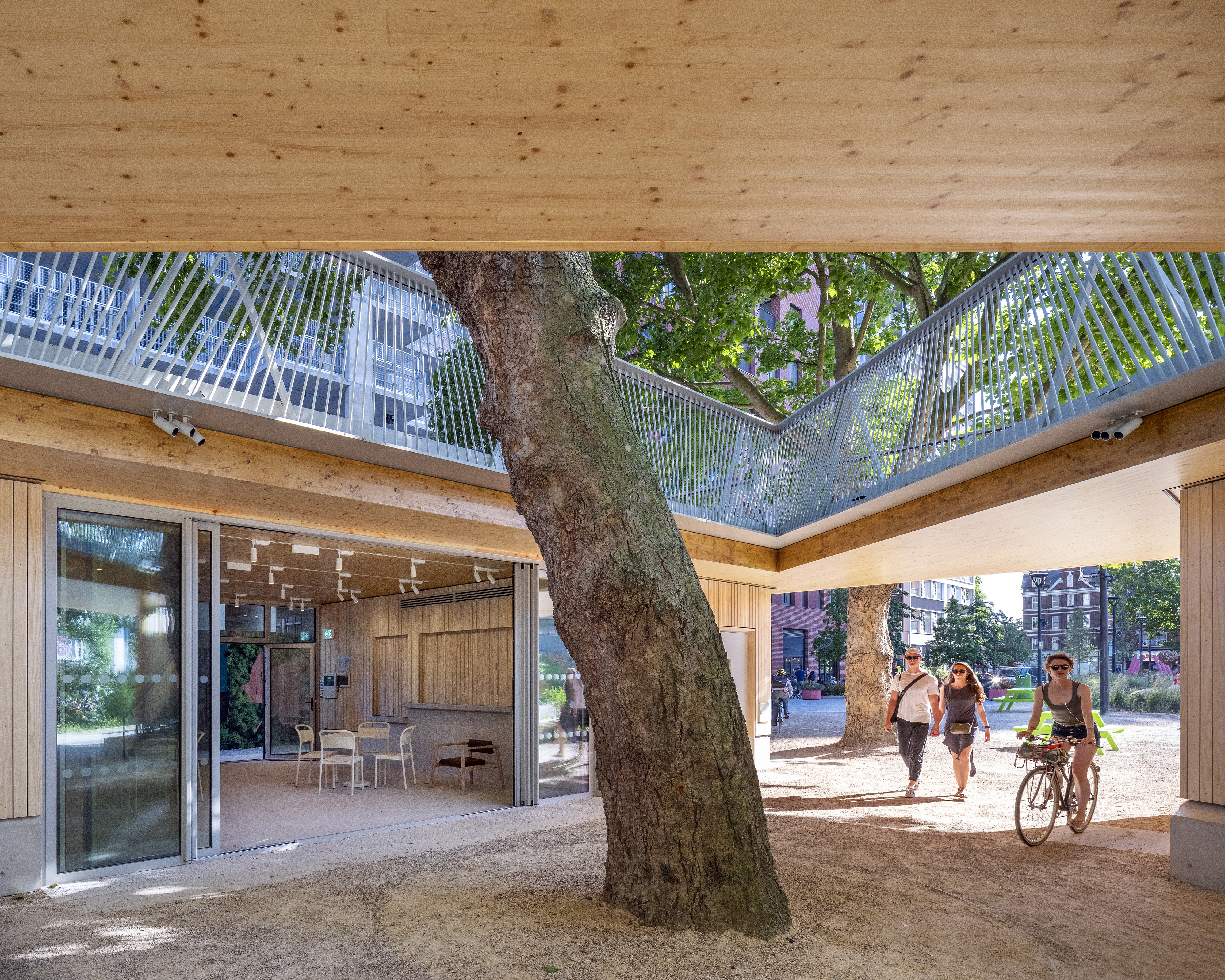 The Tree House Image