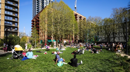 Litter & Our Lawns Image