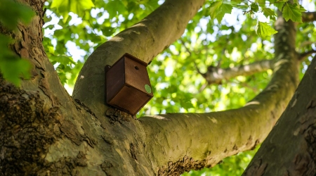 Trees & Accessories Image