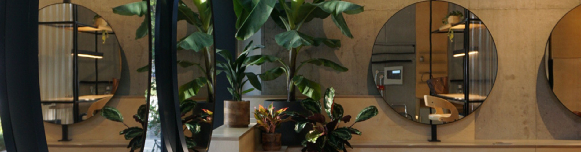 A wall with round mirrors on it surrounded by plants