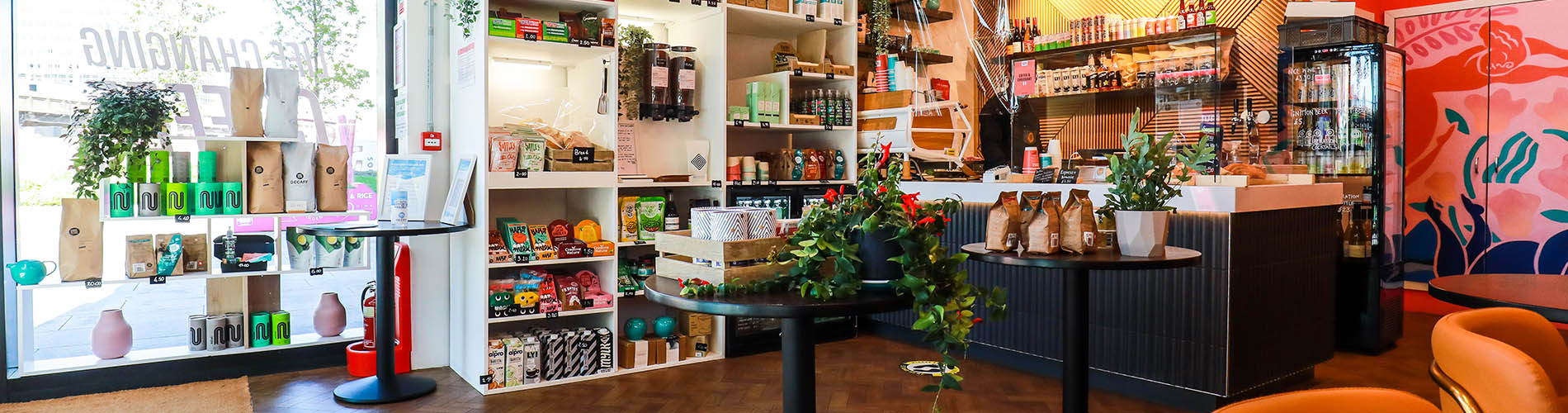 Inside Change Please Elephant Park.