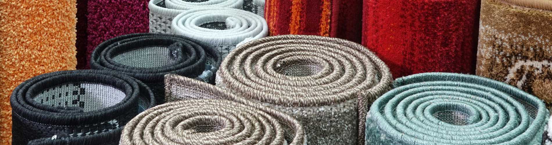 Magic Carpet 1900x500px.jpg