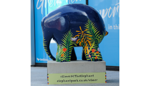 Draper Together Image