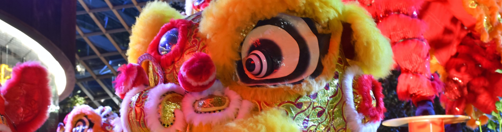 Lunar New Year Lion Dance 1900x500.jpg