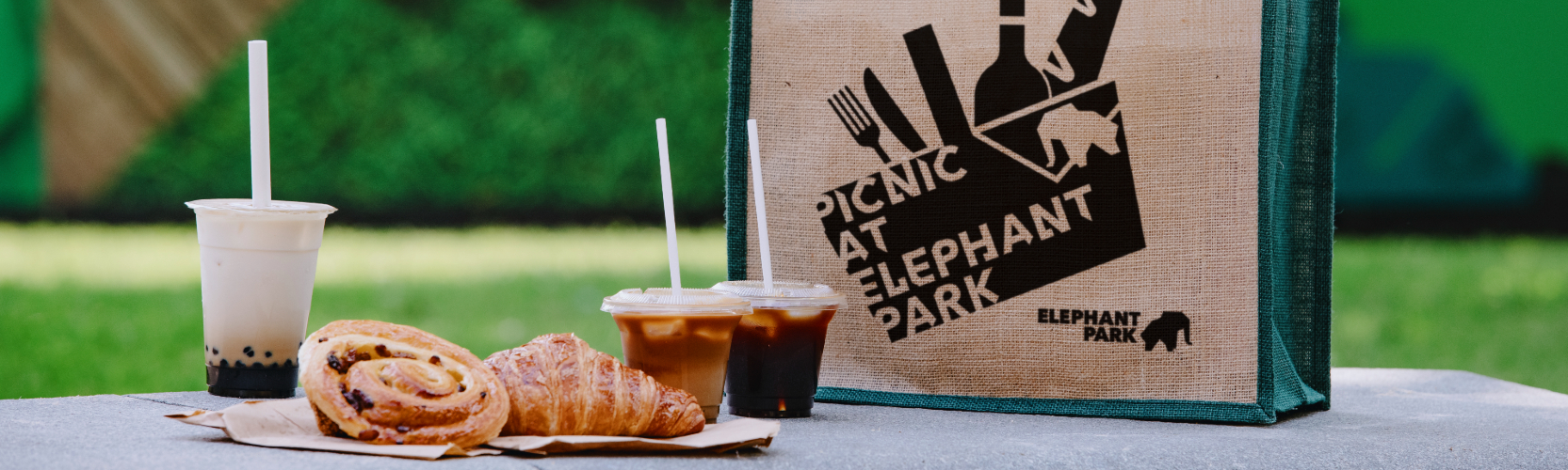 Picnicinelephantpark_1665x500.jpg