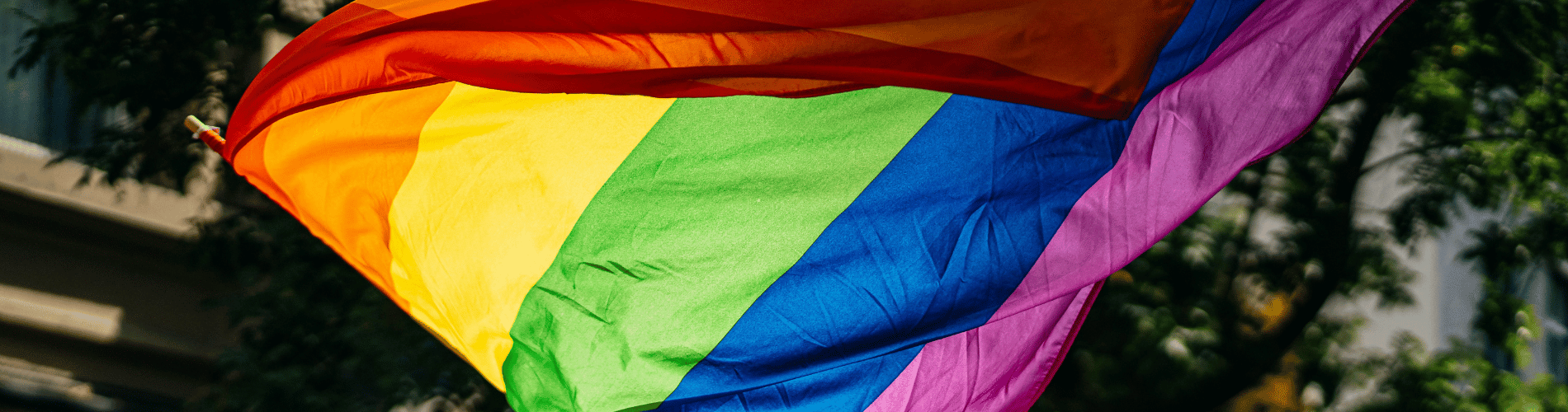 Pride 1900x500.png