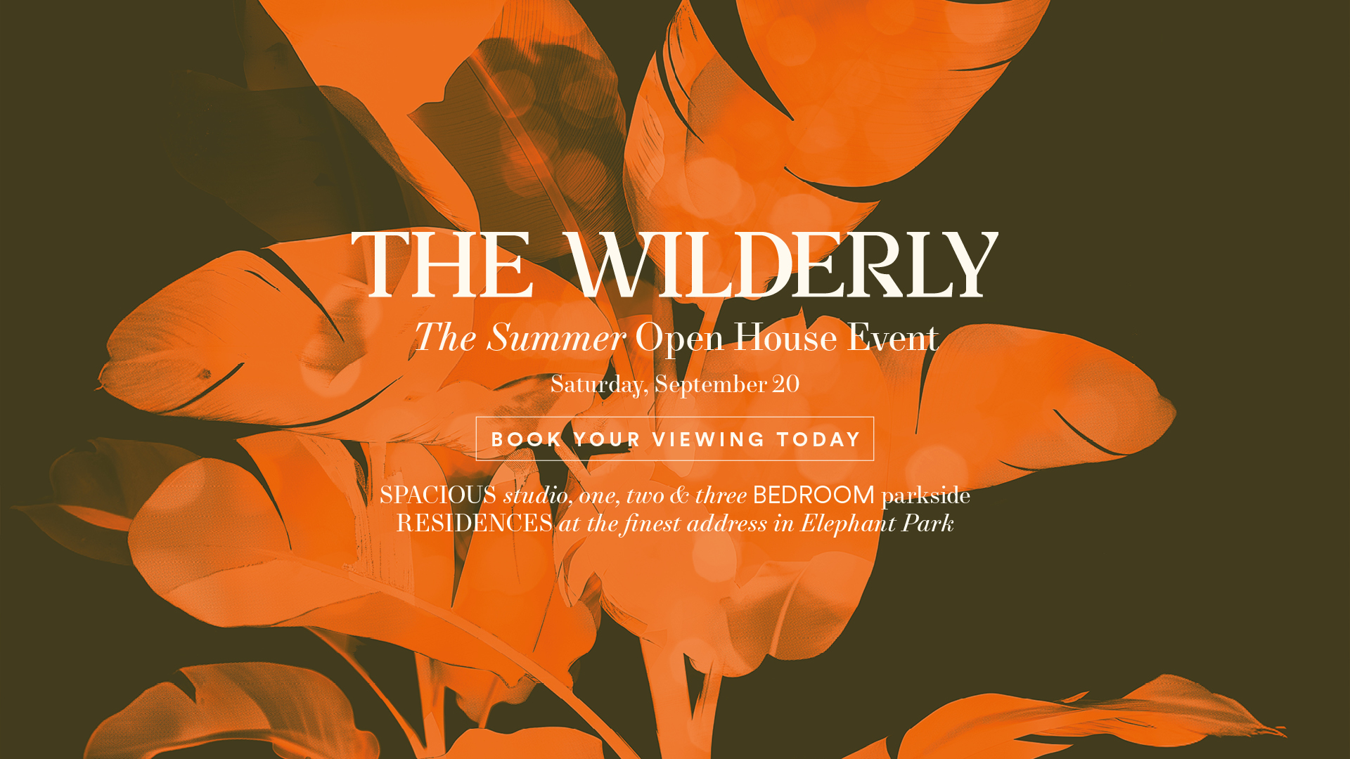 The Wilderly Web Banners 20 Sept-20250818-092058.jpg