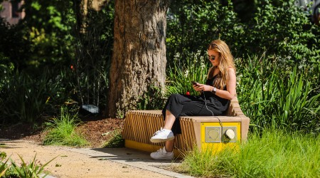 A growing network Image