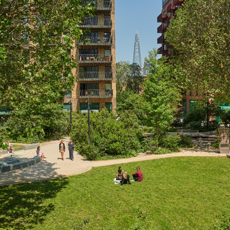 Elephant Park the park 800x800.jpg