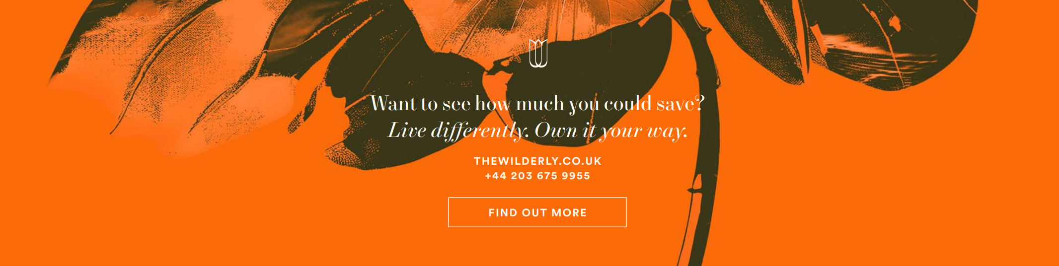 Own new banner 2.png