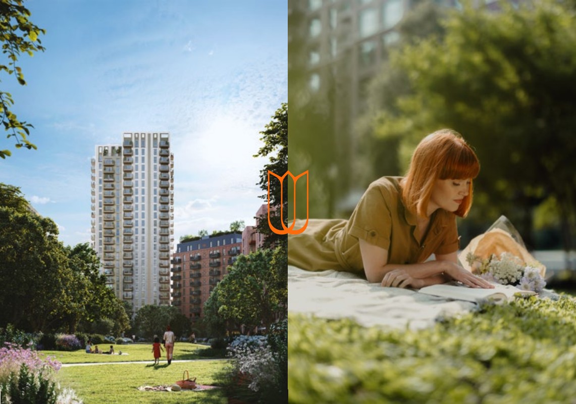 Why choose rate reducer - 5050 image.jpg