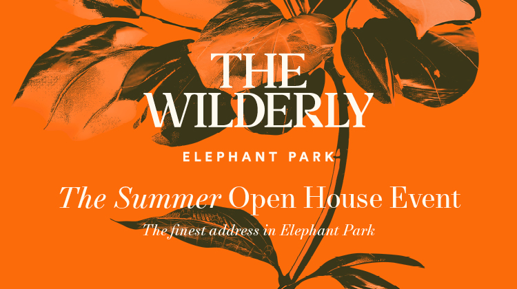 The Wilderly Hubspot Banner v1.0.jpg
